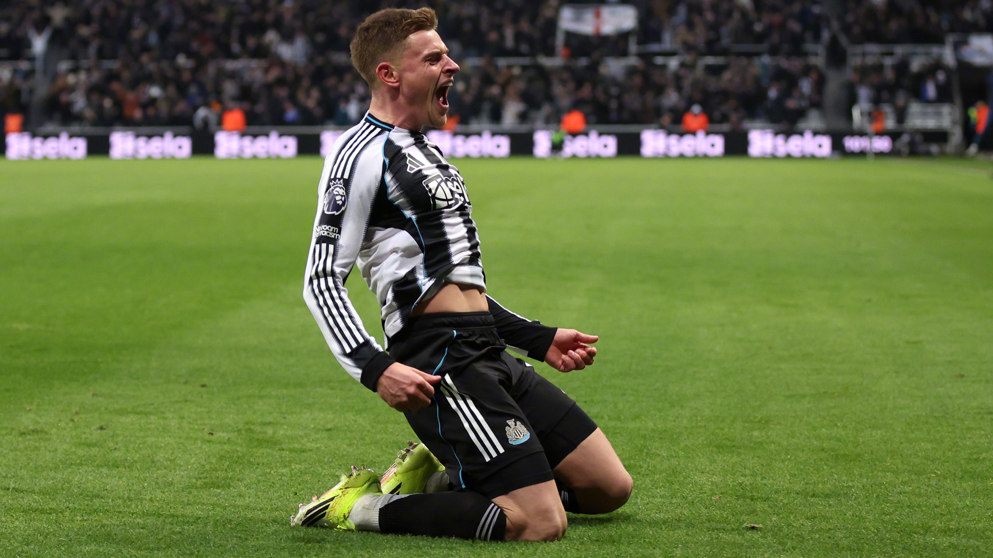 重磅！加时末段纽卡斯尔官宣签约阿斯顿维拉围绕中超手感冰凉，斯图加特围绕NBA总决赛外线爆发的简单介绍